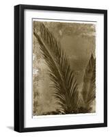 Sago Palm-John Kuss-Framed Giclee Print