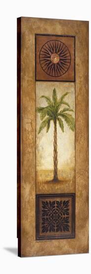 Sago Palm-Michael Marcon-Stretched Canvas