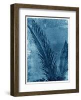 Sago Palm-John Kuss-Framed Photographic Print