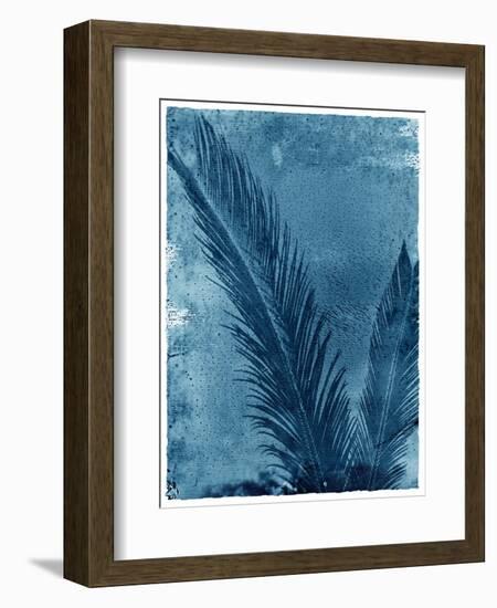 Sago Palm-John Kuss-Framed Photographic Print