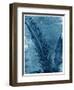 Sago Palm-John Kuss-Framed Photographic Print