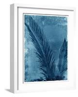 Sago Palm-John Kuss-Framed Photographic Print