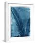 Sago Palm-John Kuss-Framed Photographic Print