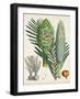 Sago Palms I-Curtis-Framed Art Print