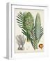 Sago Palms I-Curtis-Framed Art Print