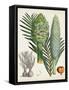 Sago Palms I-Curtis-Framed Stretched Canvas