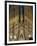 Sagrada Familia at Dusk, UNESCO World Heritage Site, Barcelona, Catalonia, Spain, Europe-Sergio Pitamitz-Framed Photographic Print