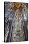 Sagrada Familia, Barcelona, Catalonia, Spain-Mark Mawson-Stretched Canvas