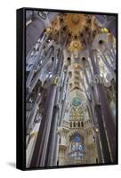 Sagrada Familia, Barcelona, Catalonia, Spain-Mark Mawson-Framed Stretched Canvas