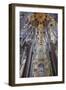 Sagrada Familia, Barcelona, Catalonia, Spain-Mark Mawson-Framed Photographic Print