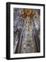 Sagrada Familia, Barcelona, Catalonia, Spain-Mark Mawson-Framed Photographic Print