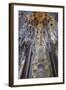 Sagrada Familia, Barcelona, Catalonia, Spain-Mark Mawson-Framed Photographic Print