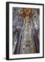 Sagrada Familia, Barcelona, Catalonia, Spain-Mark Mawson-Framed Photographic Print