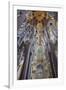 Sagrada Familia, Barcelona, Catalonia, Spain-Mark Mawson-Framed Photographic Print