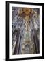 Sagrada Familia, Barcelona, Catalonia, Spain-Mark Mawson-Framed Photographic Print