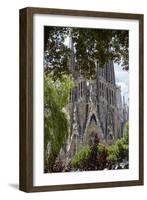 Sagrada Familia, Barcelona, Catalonia, Spain-Mark Mawson-Framed Photographic Print