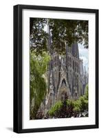 Sagrada Familia, Barcelona, Catalonia, Spain-Mark Mawson-Framed Photographic Print