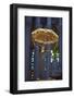 Sagrada Familia, Barcelona, Catalonia, Spain-Mark Mawson-Framed Photographic Print