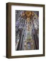 Sagrada Familia, Barcelona, Catalonia, Spain-Mark Mawson-Framed Photographic Print