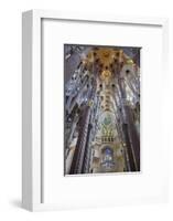 Sagrada Familia, Barcelona, Catalonia, Spain-Mark Mawson-Framed Photographic Print