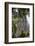 Sagrada Familia, Barcelona, Catalonia, Spain-Mark Mawson-Framed Photographic Print