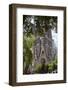 Sagrada Familia, Barcelona, Catalonia, Spain-Mark Mawson-Framed Photographic Print