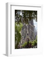 Sagrada Familia, Barcelona, Catalonia, Spain-Mark Mawson-Framed Photographic Print