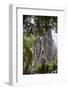 Sagrada Familia, Barcelona, Catalonia, Spain-Mark Mawson-Framed Photographic Print