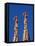 Sagrada Familia, Barcelona, Spain-Jon Arnold-Framed Stretched Canvas