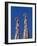 Sagrada Familia, Barcelona, Spain-Jon Arnold-Framed Photographic Print