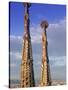 Sagrada Familia, Barcelona, Spain-Peter Adams-Stretched Canvas