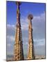 Sagrada Familia, Barcelona, Spain-Peter Adams-Mounted Photographic Print