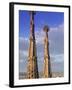 Sagrada Familia, Barcelona, Spain-Peter Adams-Framed Photographic Print