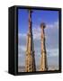 Sagrada Familia, Barcelona, Spain-Peter Adams-Framed Stretched Canvas