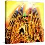 Sagrada Familia, Barcelona-Tosh-Stretched Canvas