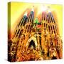 Sagrada Familia, Barcelona-Tosh-Stretched Canvas