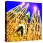 Sagrada Familia, Barcelona-Tosh-Stretched Canvas