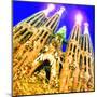 Sagrada Familia, Barcelona-Tosh-Mounted Art Print