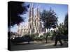 Sagrada Familia Cathedral, Barcelona, Catalonia, Spain-Graham Lawrence-Stretched Canvas