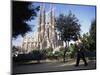 Sagrada Familia Cathedral, Barcelona, Catalonia, Spain-Graham Lawrence-Mounted Photographic Print