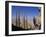 Sagrada Familia Cathedral, Barcelona, Spain-Jon Arnold-Framed Photographic Print