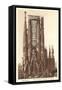 Sagrada Familia Cathedral, Barcelona, Spain-null-Framed Stretched Canvas