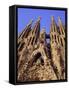 Sagrada Familia Cathedral by Gaudi, East Face Detail, Barcelona, Catalonia, Spain-Charles Bowman-Framed Stretched Canvas