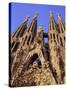 Sagrada Familia Cathedral by Gaudi, East Face Detail, Barcelona, Catalonia, Spain-Charles Bowman-Stretched Canvas