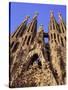 Sagrada Familia Cathedral by Gaudi, East Face Detail, Barcelona, Catalonia, Spain-Charles Bowman-Stretched Canvas