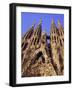 Sagrada Familia Cathedral by Gaudi, East Face Detail, Barcelona, Catalonia, Spain-Charles Bowman-Framed Photographic Print