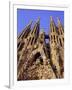 Sagrada Familia Cathedral by Gaudi, East Face Detail, Barcelona, Catalonia, Spain-Charles Bowman-Framed Photographic Print