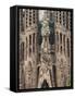 Sagrada Familia Cathedral by Gaudi, UNESCO World Heritage Site, Barcelona, Catalunya, Spain-Nico Tondini-Framed Stretched Canvas