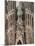 Sagrada Familia Cathedral by Gaudi, UNESCO World Heritage Site, Barcelona, Catalunya, Spain-Nico Tondini-Mounted Photographic Print