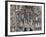 Sagrada Familia Cathedral by Gaudi, UNESCO World Heritage Site, Barcelona, Catalunya, Spain-Nico Tondini-Framed Photographic Print